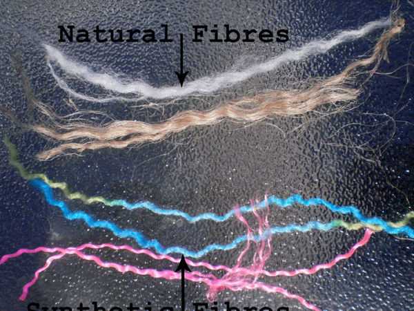 fiber samples for analysis.jpg